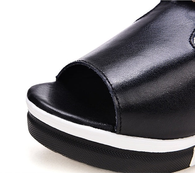 Lioréa | Éclat Nature